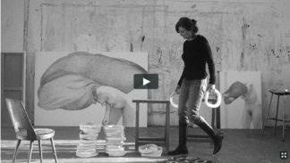 Agnès Thurnauer, Une histoire de la peinture