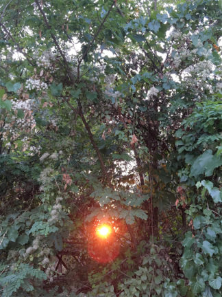 Valérie du Chéné et Régis Pinault, Un ciel couleur laser rose fuchsia, La Centrale