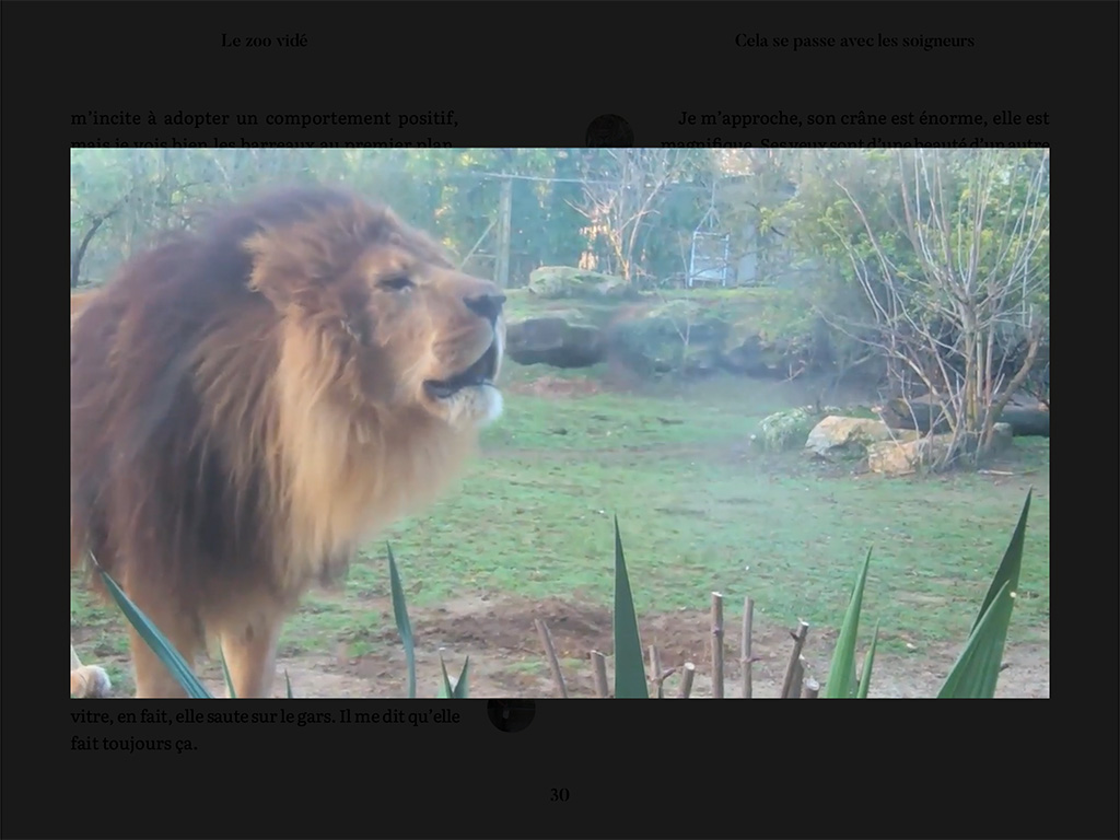 Le Zoo vidé – Image 5