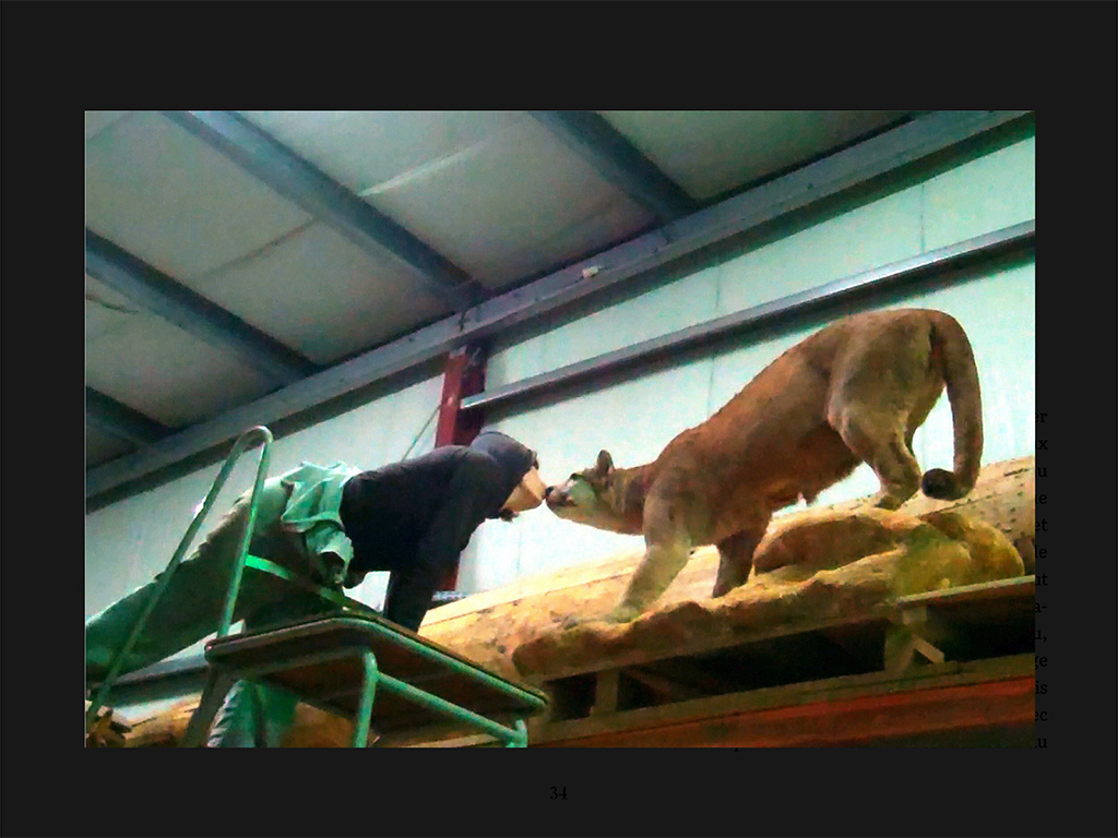 Le Zoo vidé – Image 3