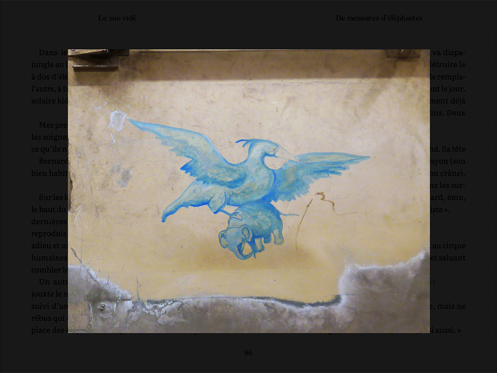 Le Zoo vidé – Image 7