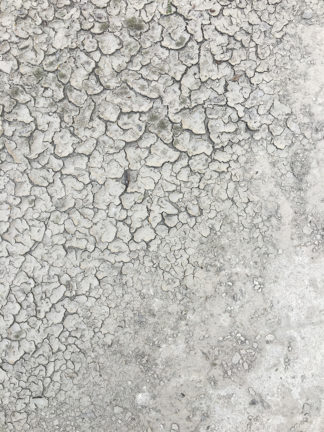 Laura Porter, Golden Grammar, La Centrale