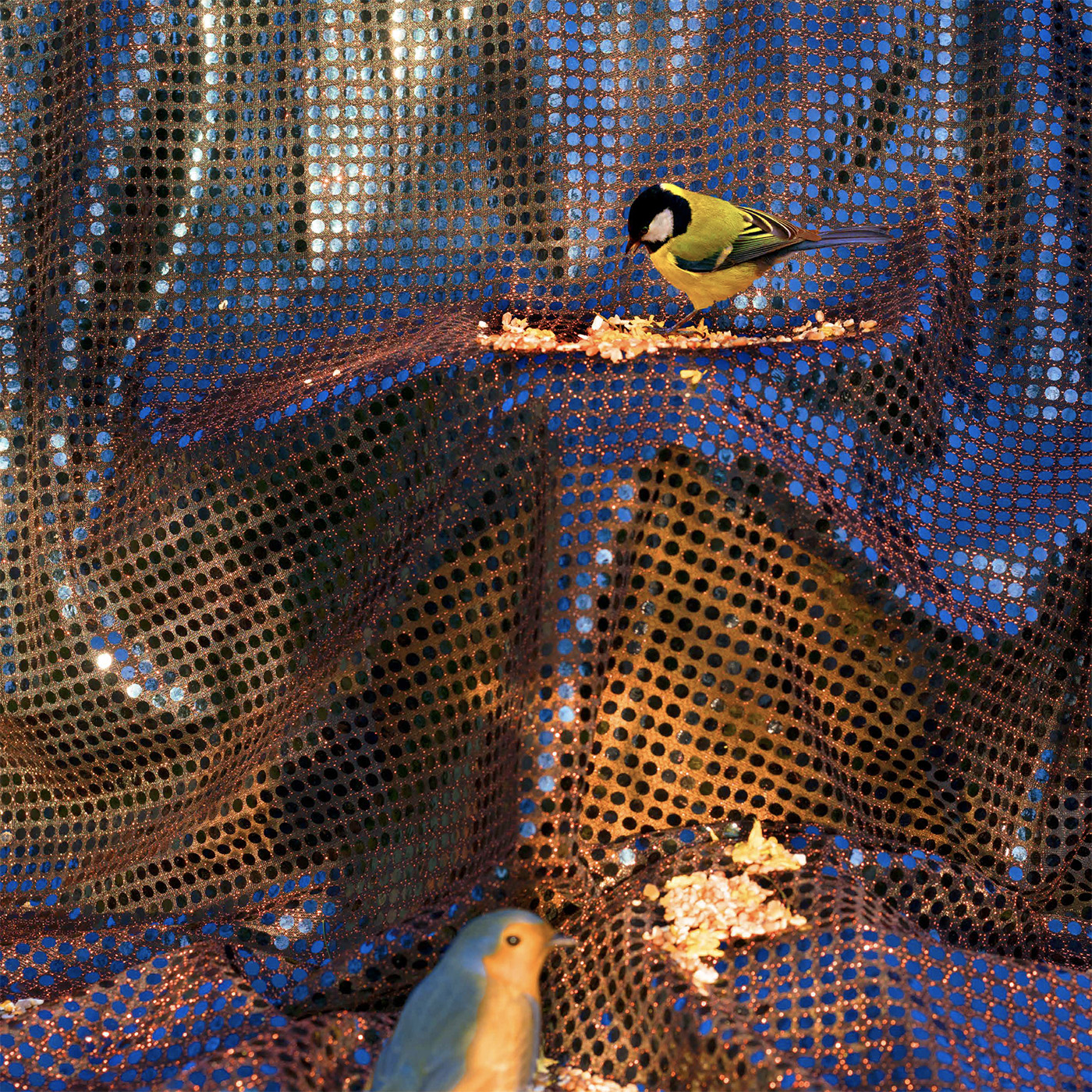 Le Jardin d'oiseaux – Image 2