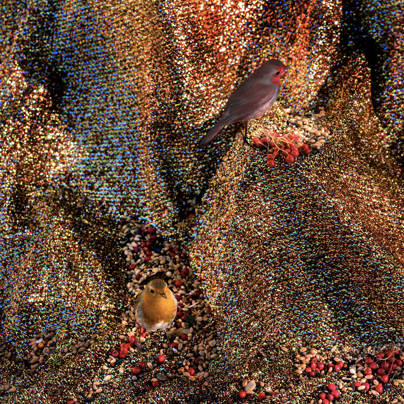 Le Jardin d'oiseaux – Image 3