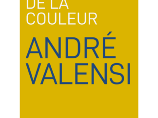 Sylvie Mir, 1969-2001, Prégnance de la couleur, André Valensi