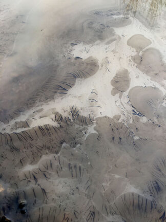 Philip Vormwald, Bip Bip, la Centrale