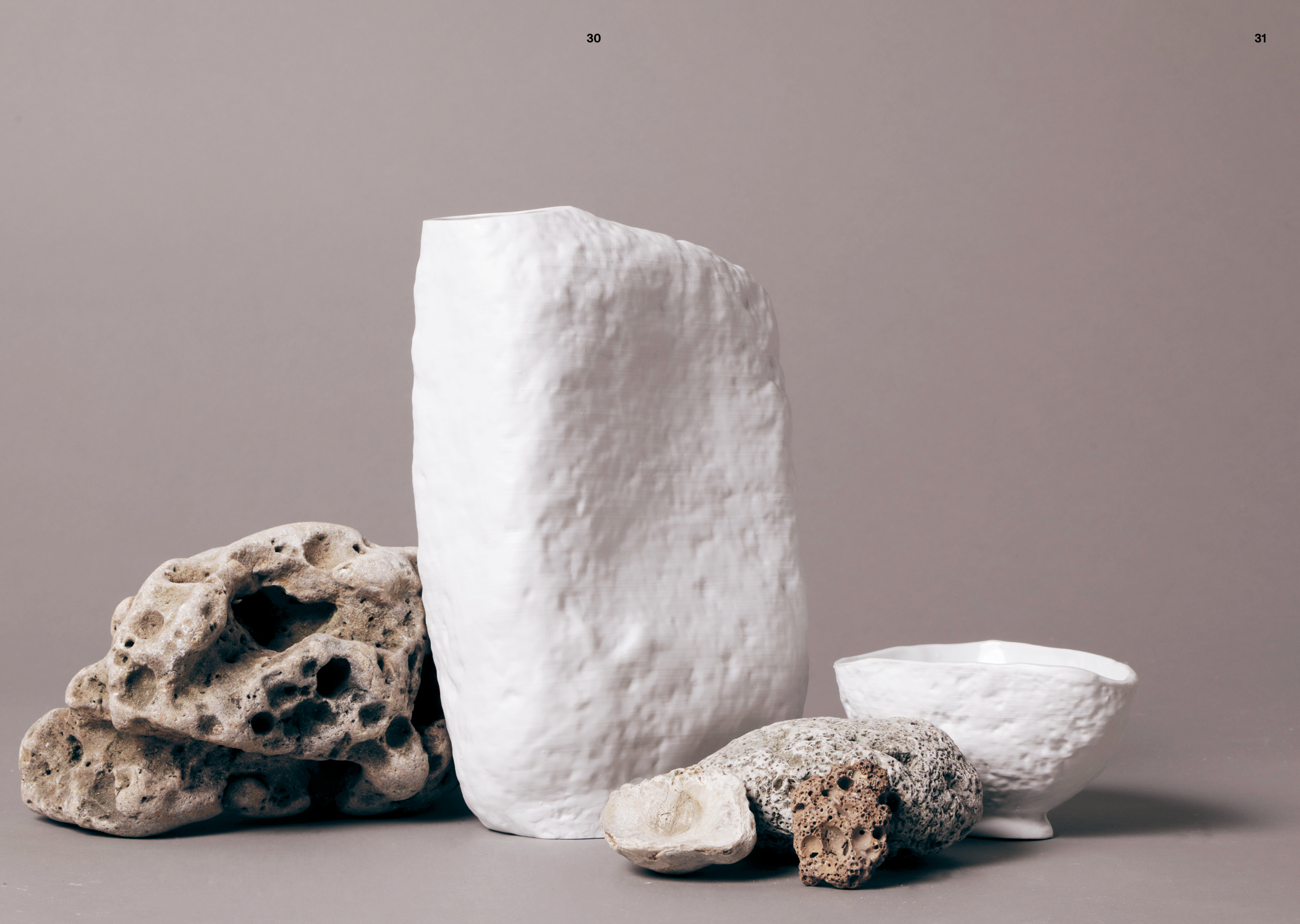 Jungle Design – Image 8