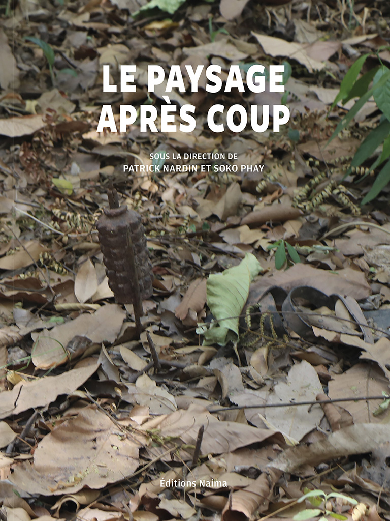 Le Paysage après coup