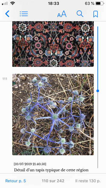 Correspondance arménienne – Image 6