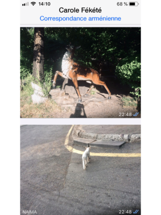 Couverture du livre numérique Carole Fékété, Correspondance arménienne, Couverture