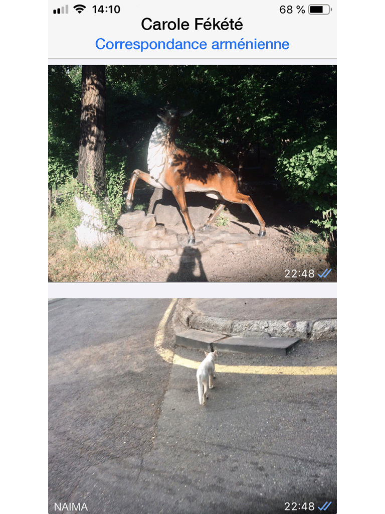 Couverture du livre numérique Carole Fékété, Correspondance arménienne, Couverture