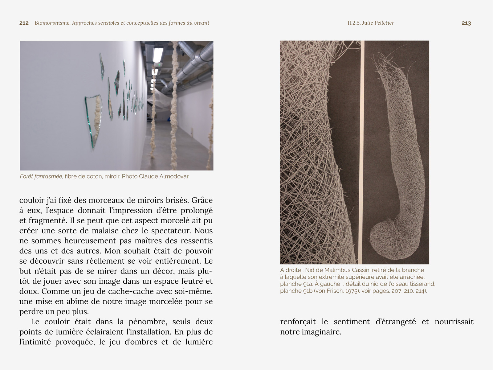 Biomorphisme. Approches sensibles et conceptuelles des formes du vivant – Image 24