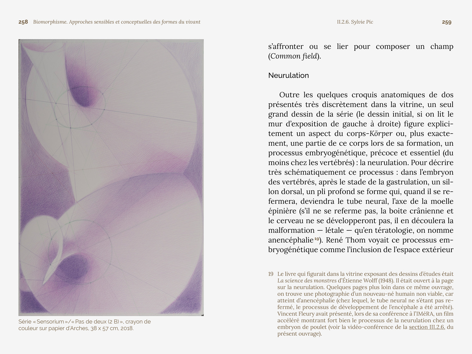 Biomorphisme. Approches sensibles et conceptuelles des formes du vivant – Image 26