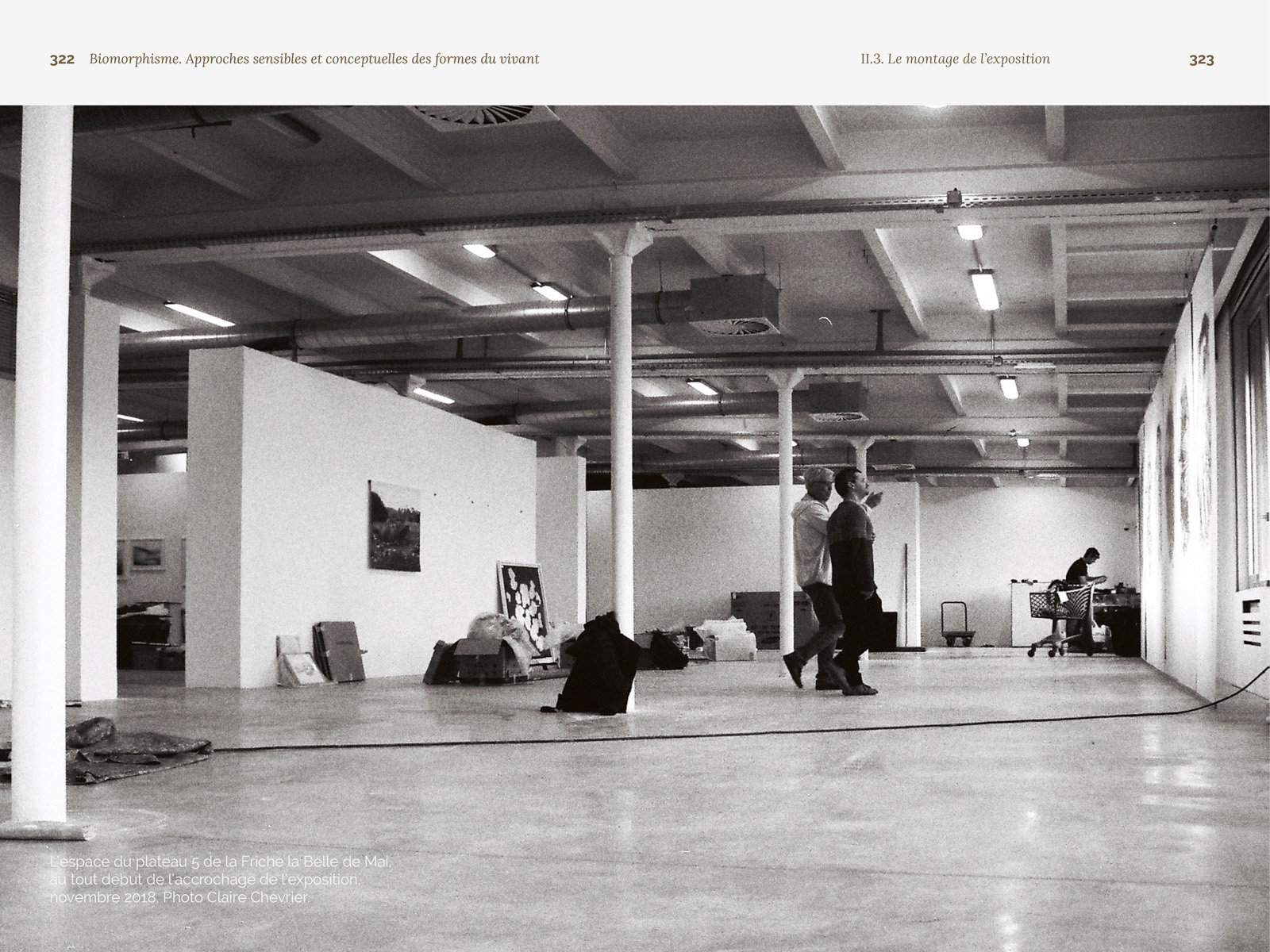 Biomorphisme. Approches sensibles et conceptuelles des formes du vivant – Image 28