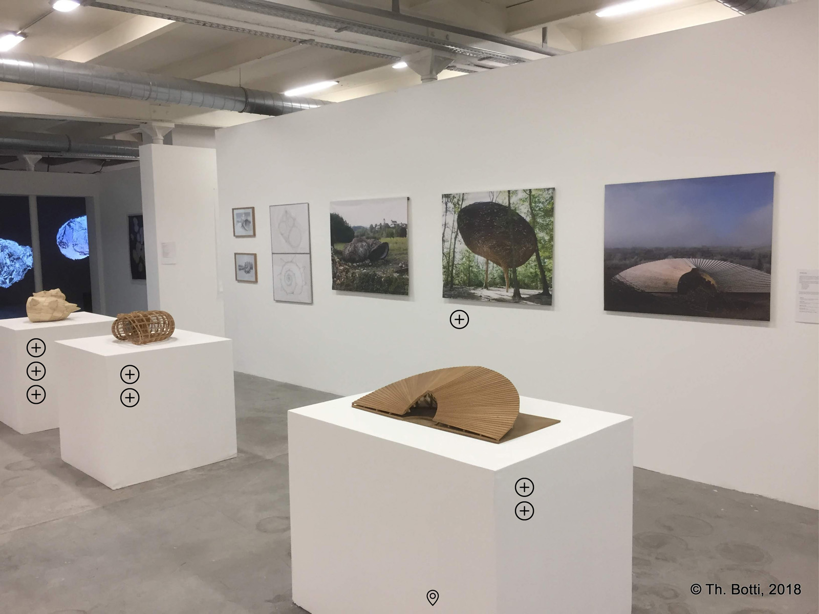 Biomorphisme. Approches sensibles et conceptuelles des formes du vivant – Image 5