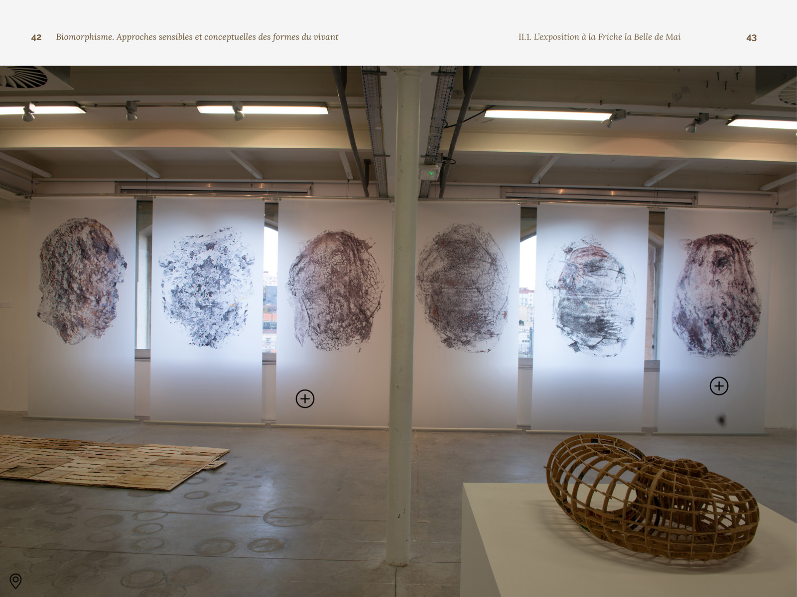 Biomorphisme. Approches sensibles et conceptuelles des formes du vivant – Image 6