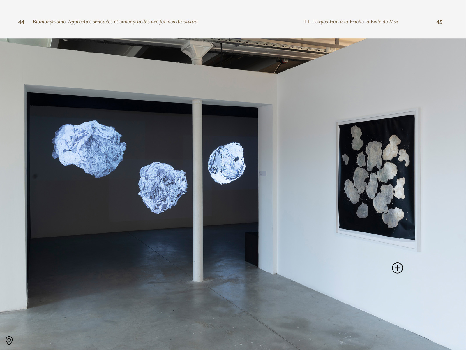 Biomorphisme. Approches sensibles et conceptuelles des formes du vivant – Image 7