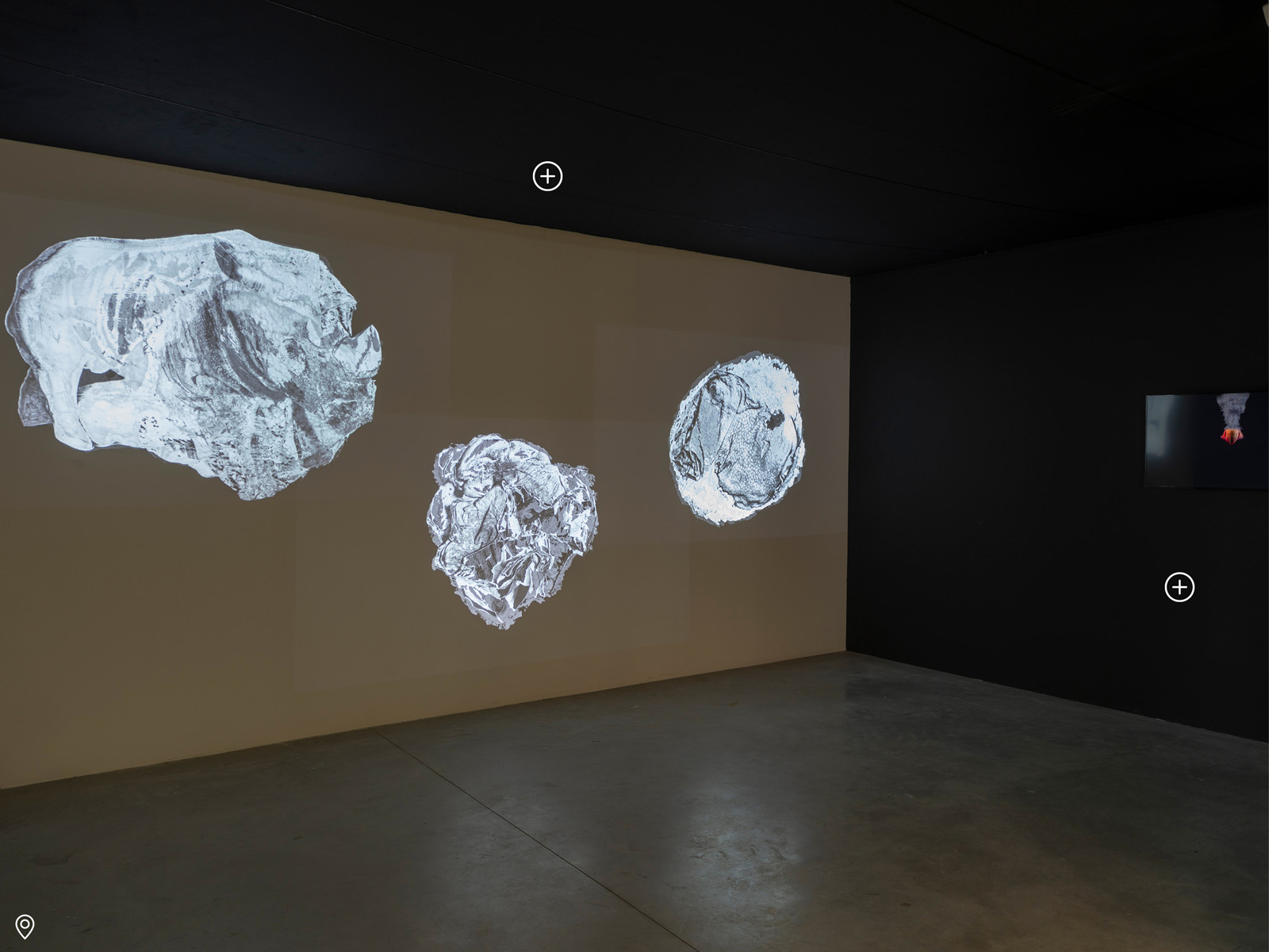 Biomorphisme. Approches sensibles et conceptuelles des formes du vivant – Image 8