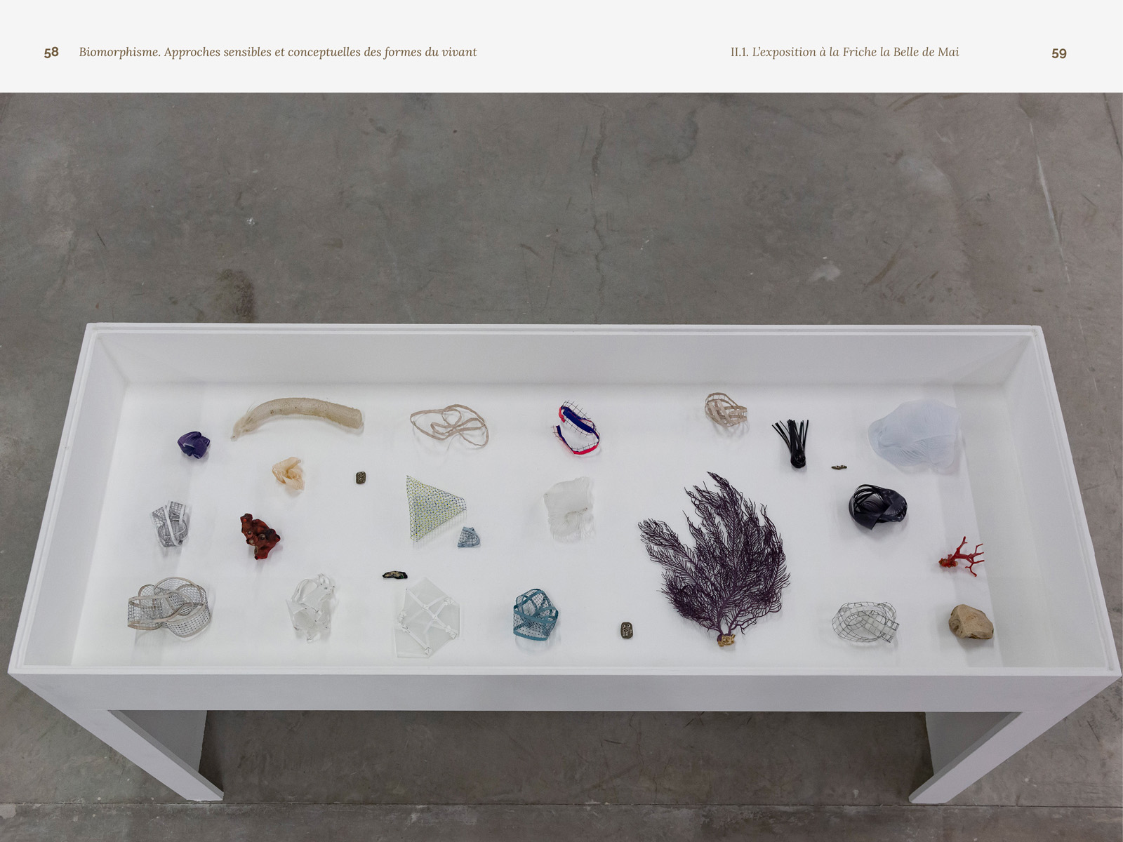 Biomorphisme. Approches sensibles et conceptuelles des formes du vivant – Image 11