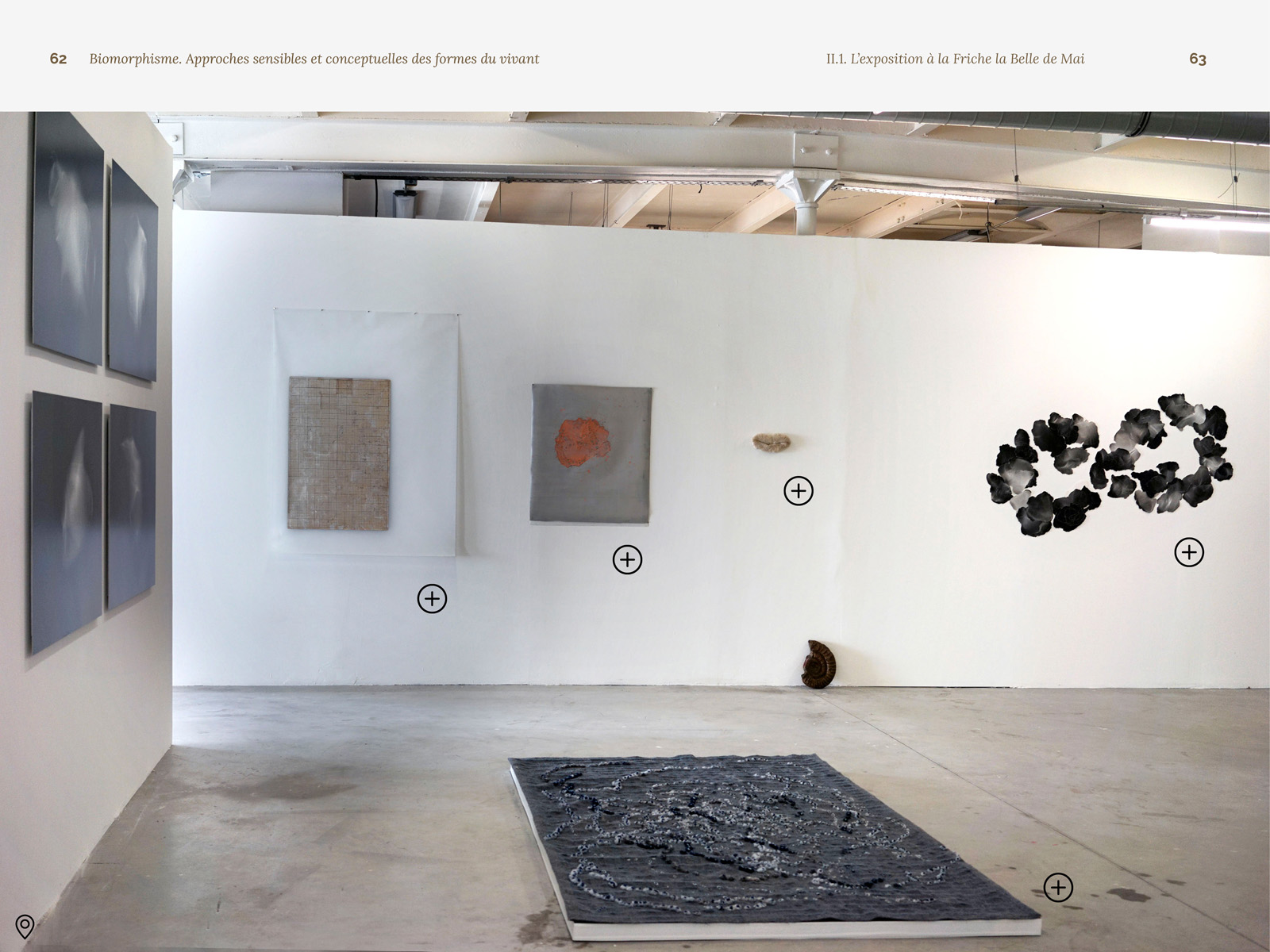 Biomorphisme. Approches sensibles et conceptuelles des formes du vivant – Image 12