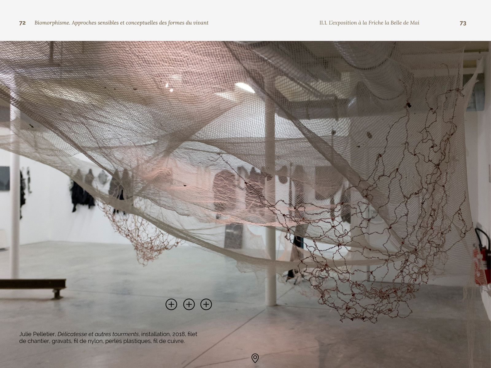 Biomorphisme. Approches sensibles et conceptuelles des formes du vivant – Image 14