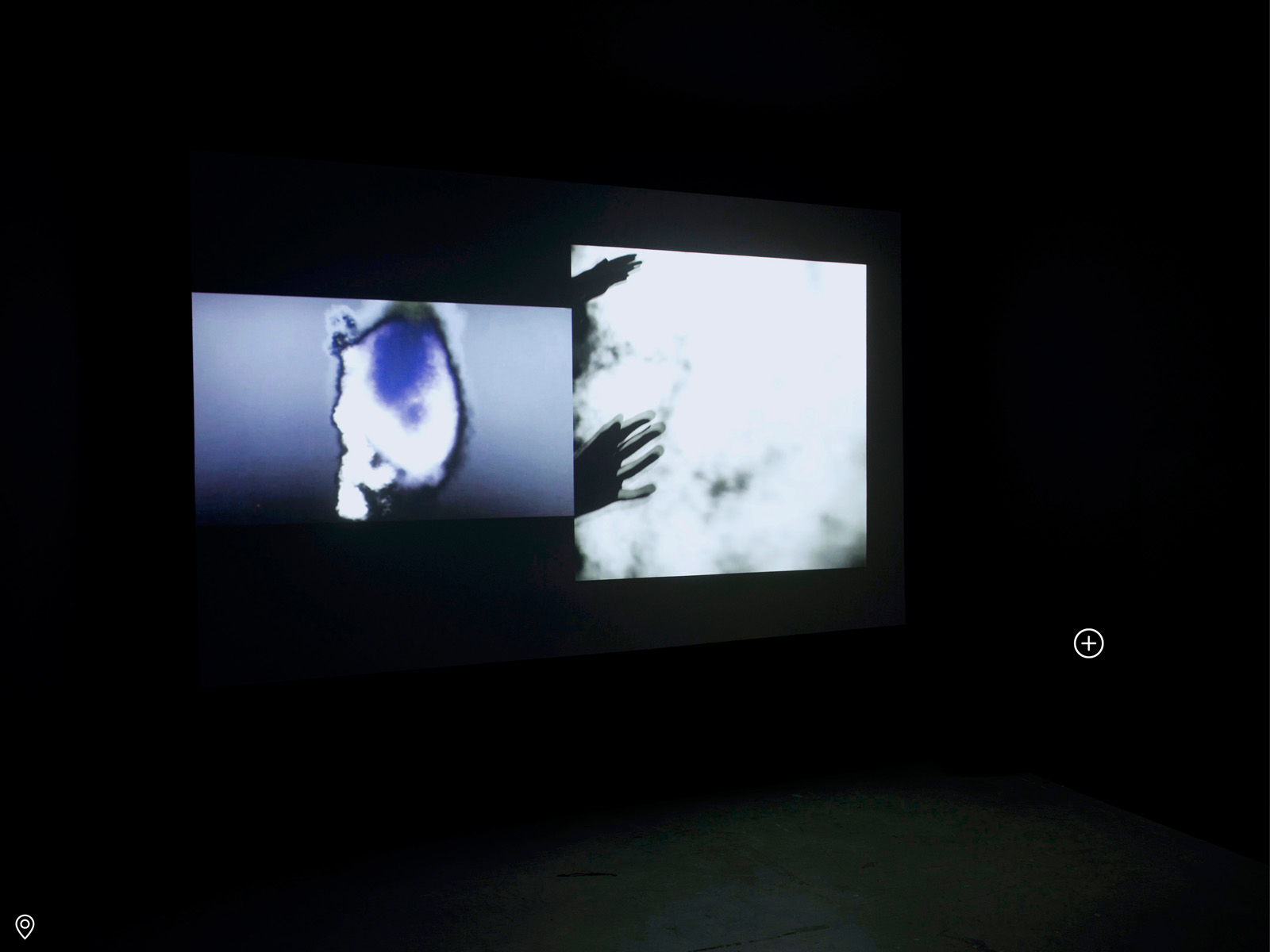 Biomorphisme. Approches sensibles et conceptuelles des formes du vivant – Image 15