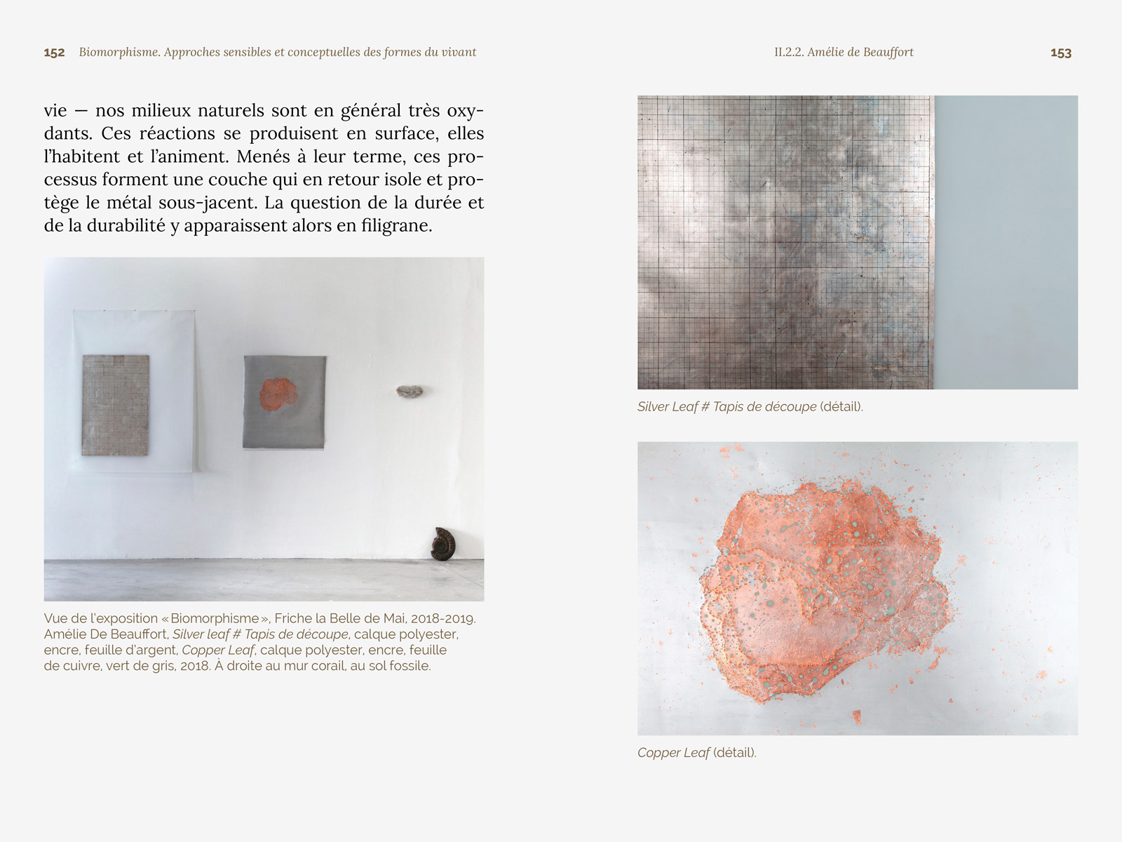 Biomorphisme. Approches sensibles et conceptuelles des formes du vivant – Image 19