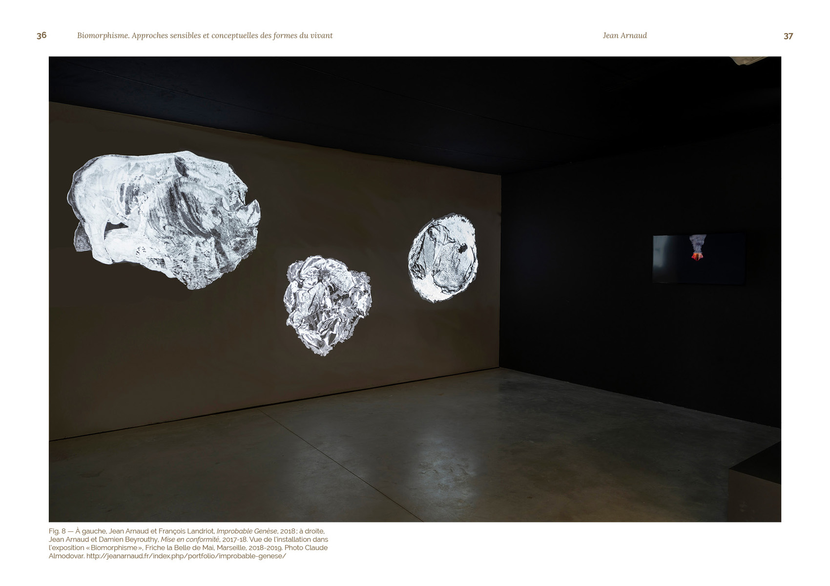 Biomorphisme. Approches sensibles et conceptuelles des formes du vivant – Image 6