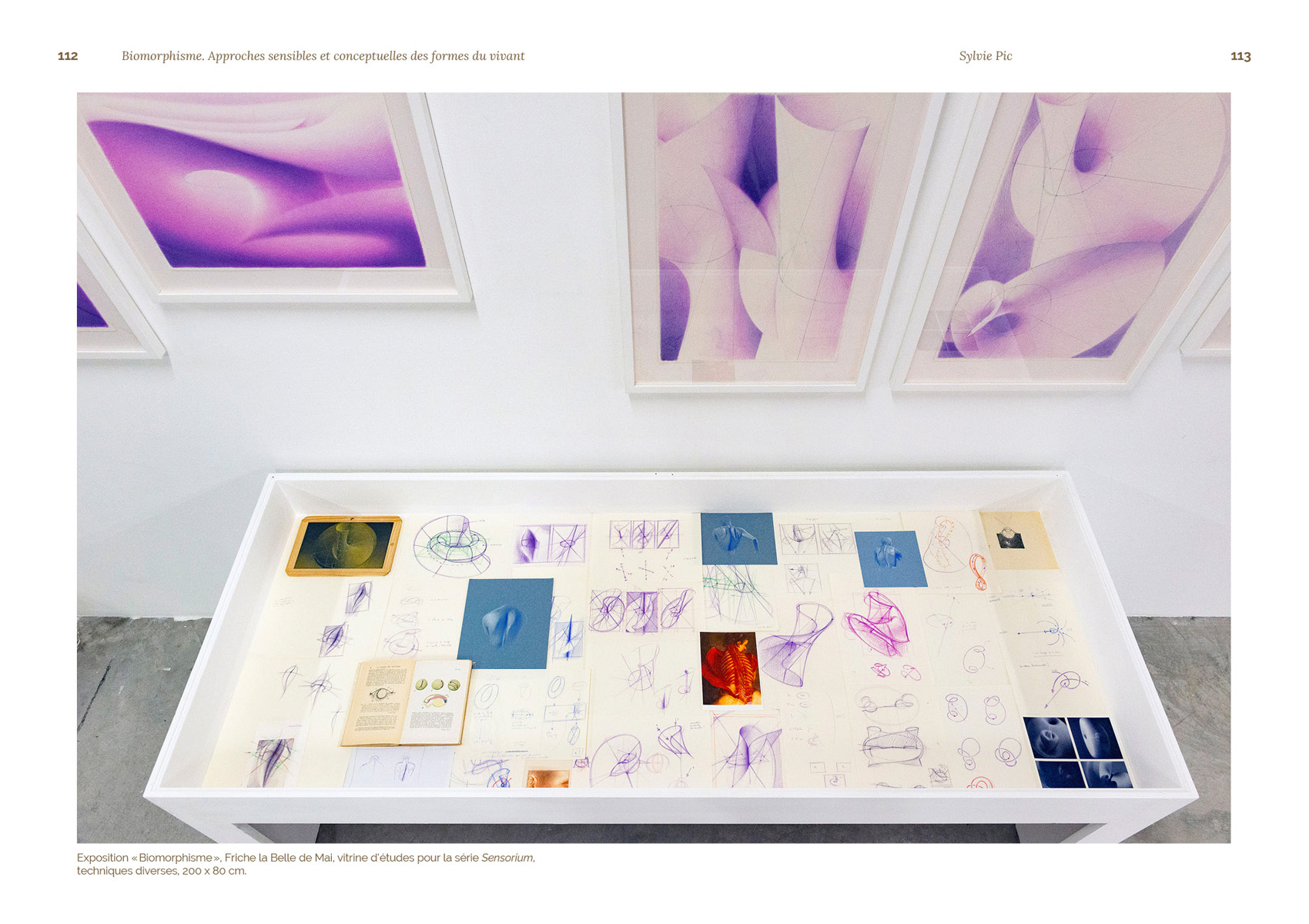 Biomorphisme. Approches sensibles et conceptuelles des formes du vivant – Image 16