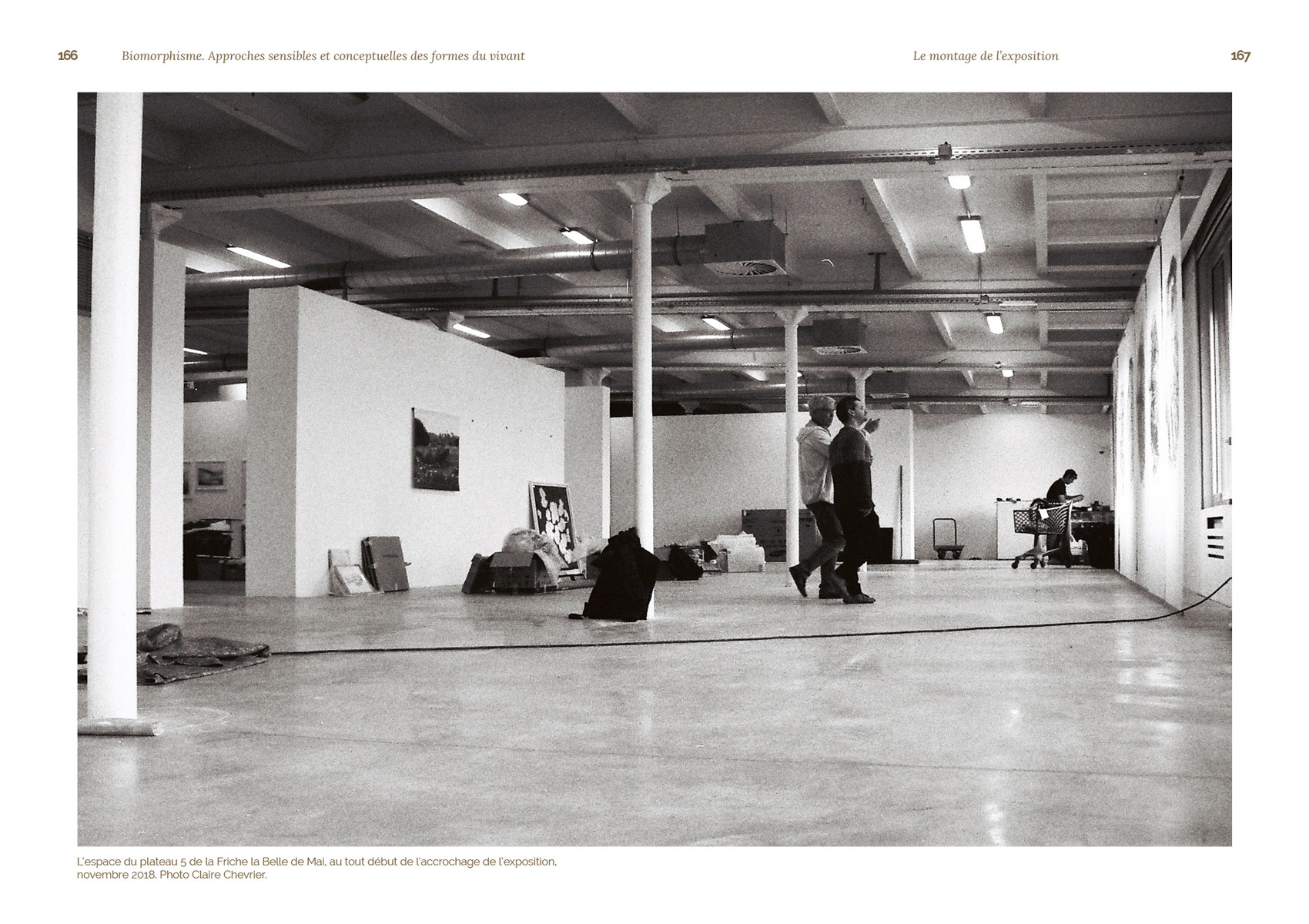 Biomorphisme. Approches sensibles et conceptuelles des formes du vivant – Image 20