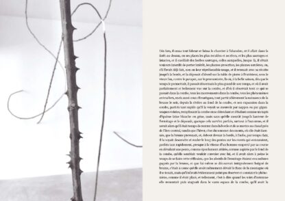 Double page du livre "Ronce" de Jan Kopp et Marc Graciano