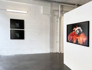 Paul Pouvreau, vue de l'exposition à La Ritournelle, Châteauroux 2024