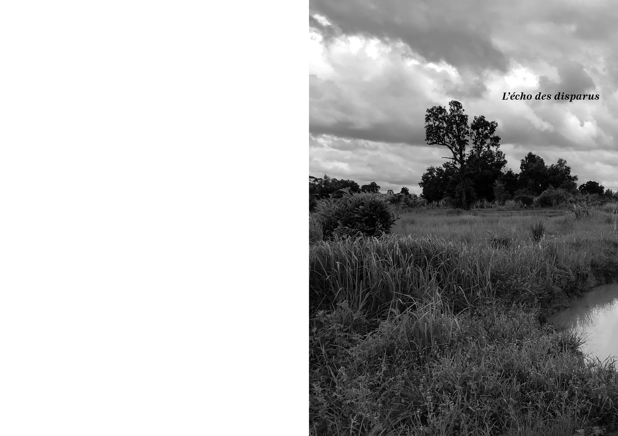 Cambodge. L’art devant l’extrême – Image 15