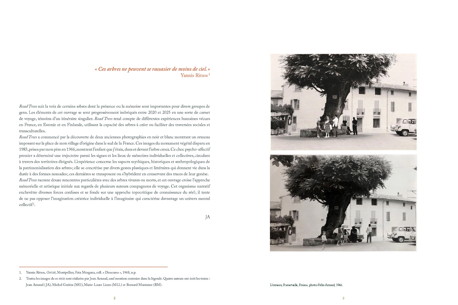 Road Trees – Image 3