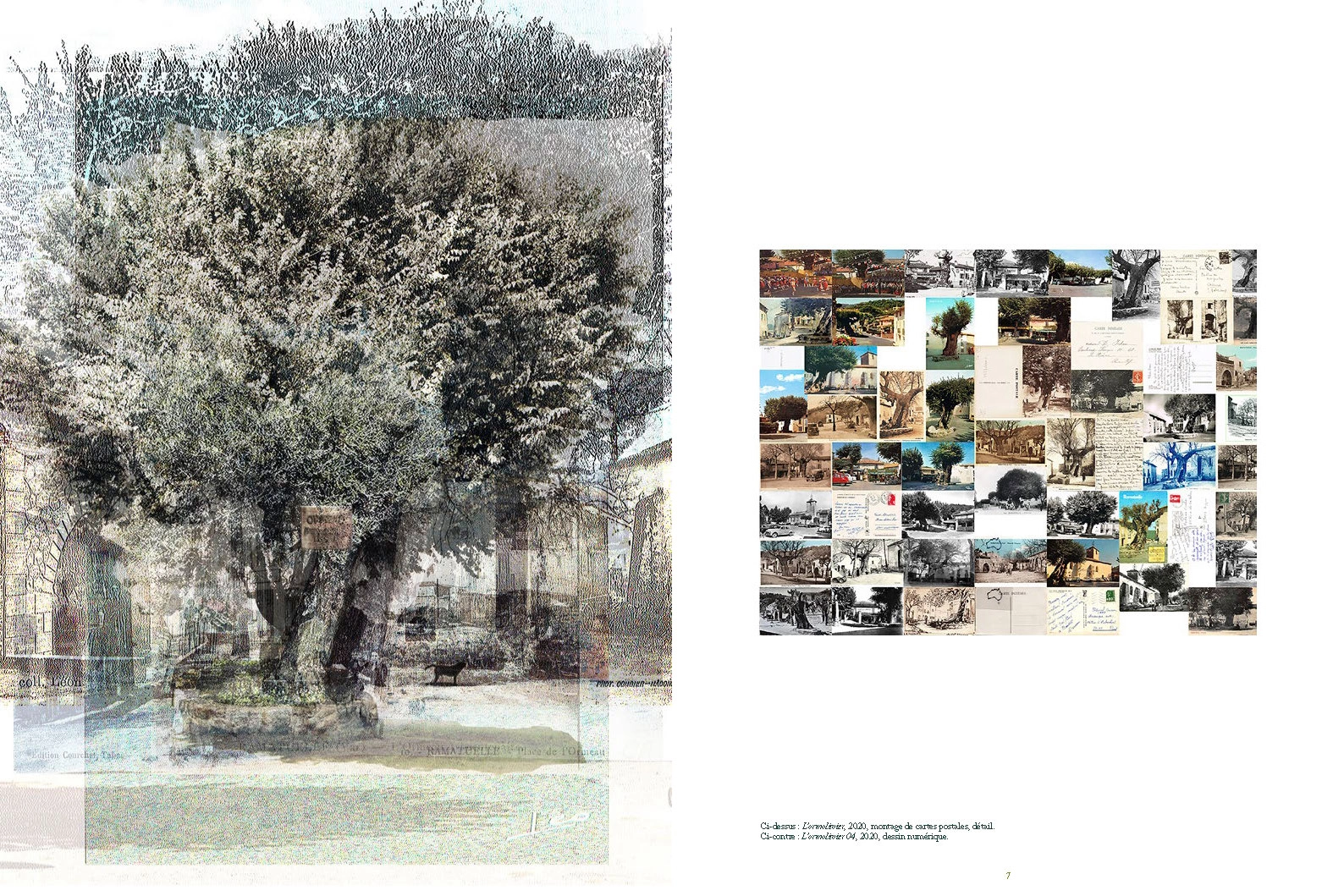 Road Trees – Image 5