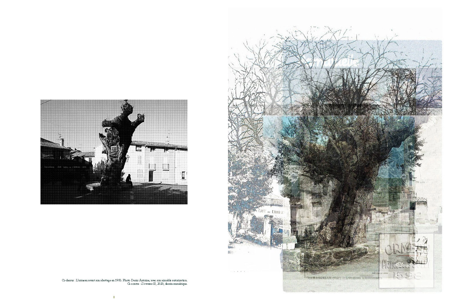 Road Trees – Image 6