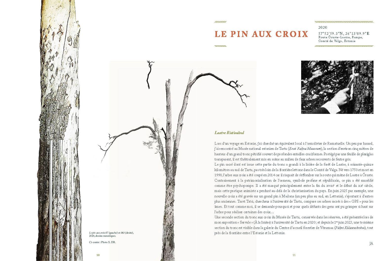 Road Trees – Image 7