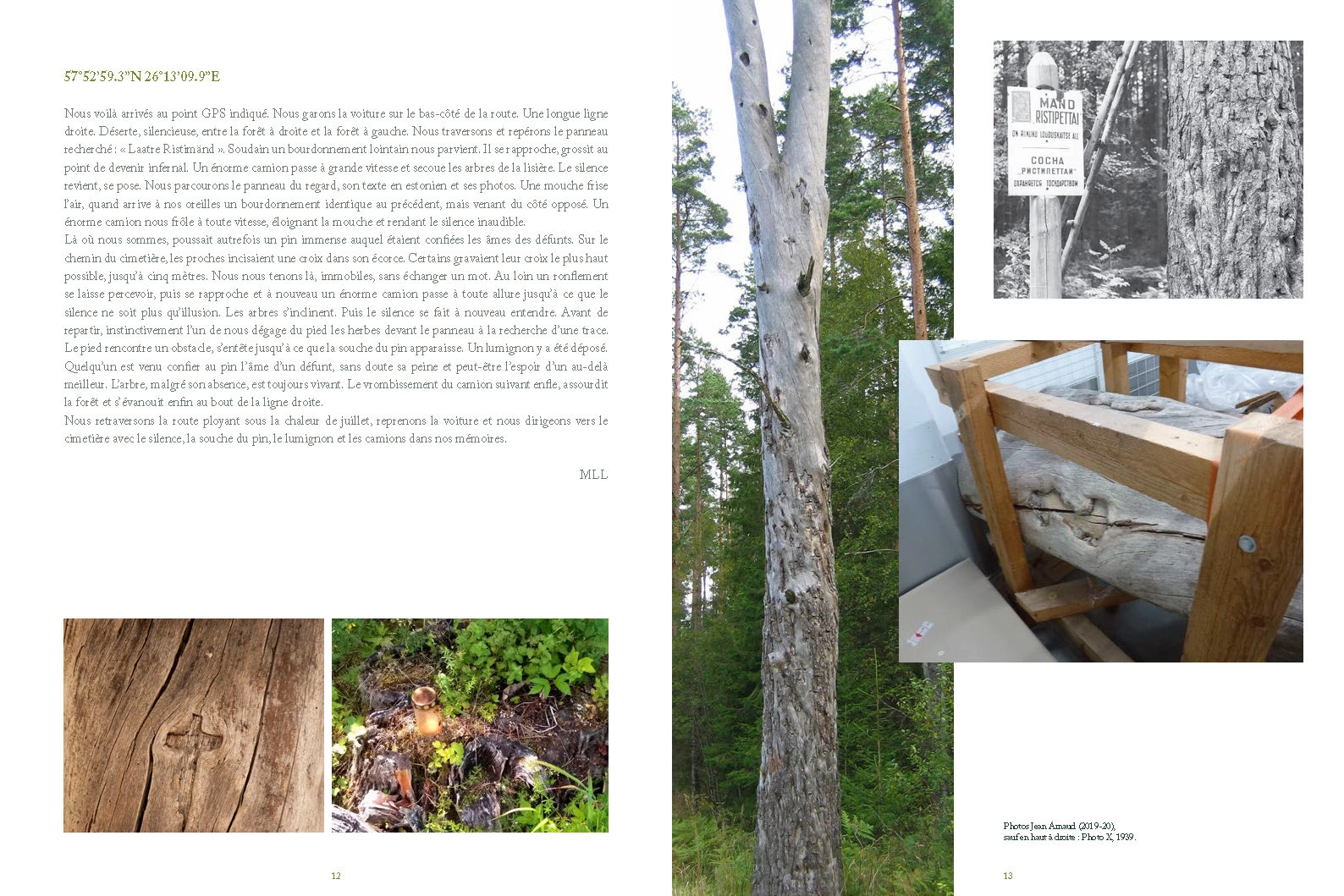 Road Trees – Image 8