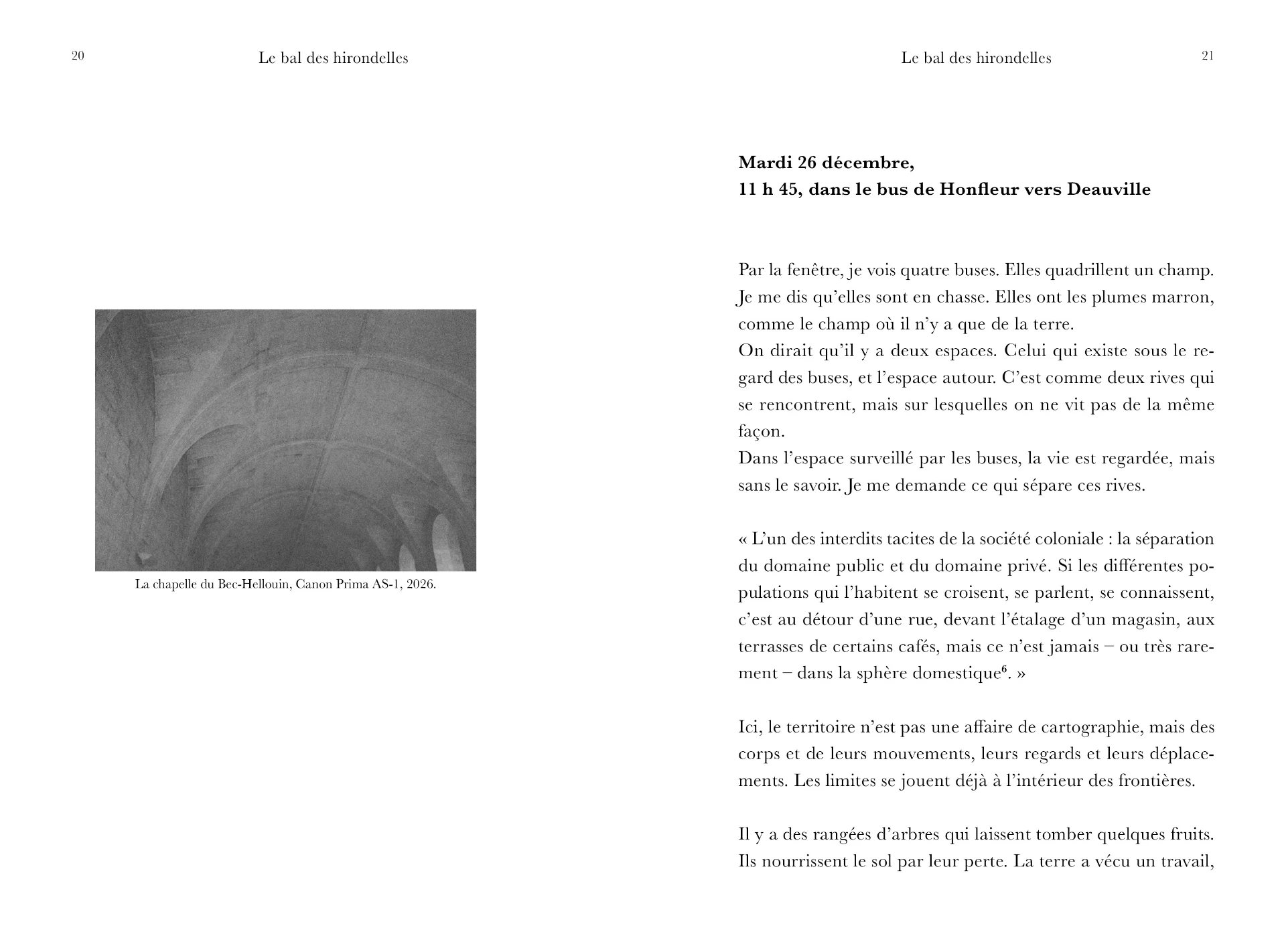Le bal des hirondelles – Image 11