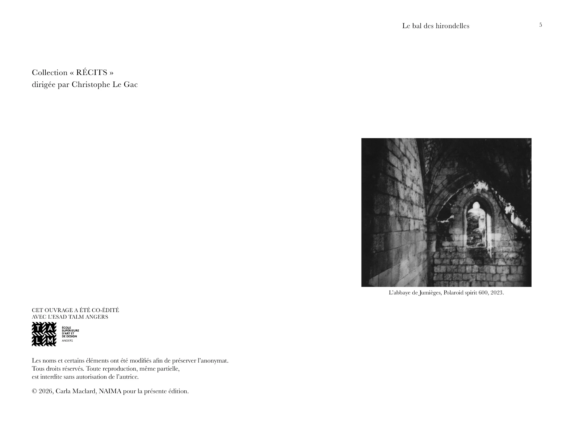 Le bal des hirondelles – Image 3