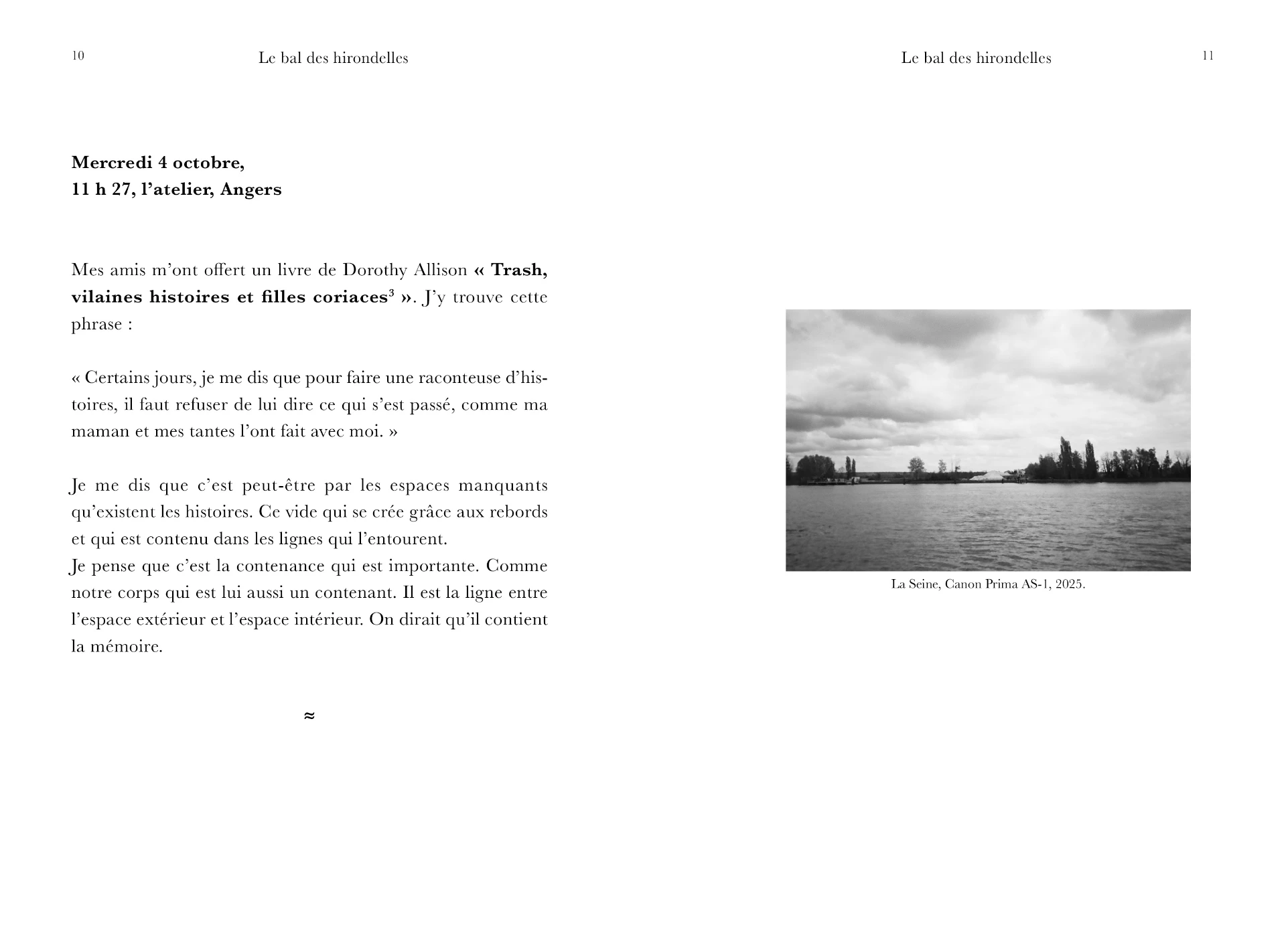 Le bal des hirondelles – Image 6