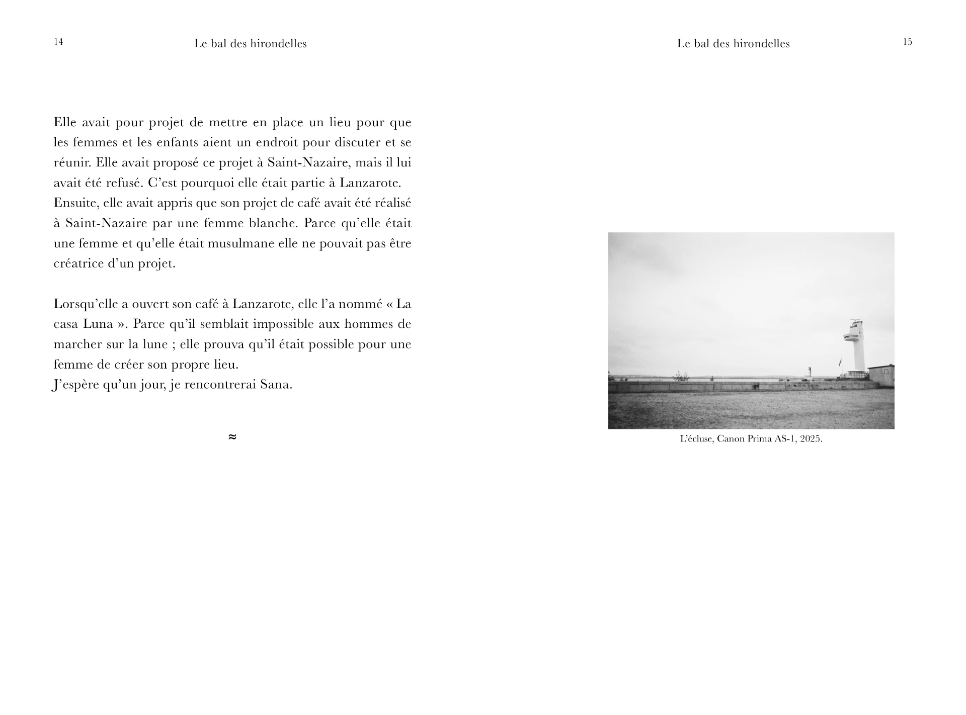 Le bal des hirondelles – Image 8